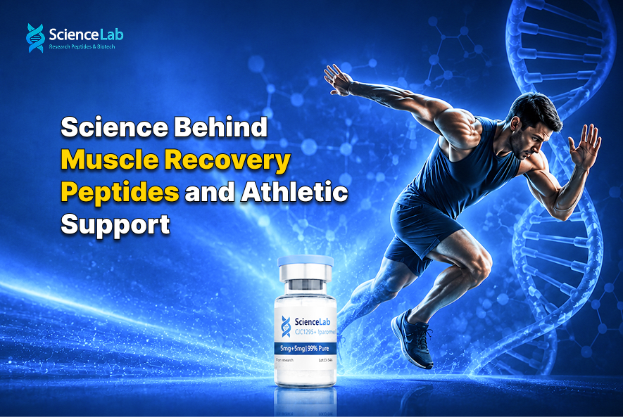 Science of Muscle Recovery Peptides